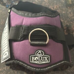 Bolux M dog harness